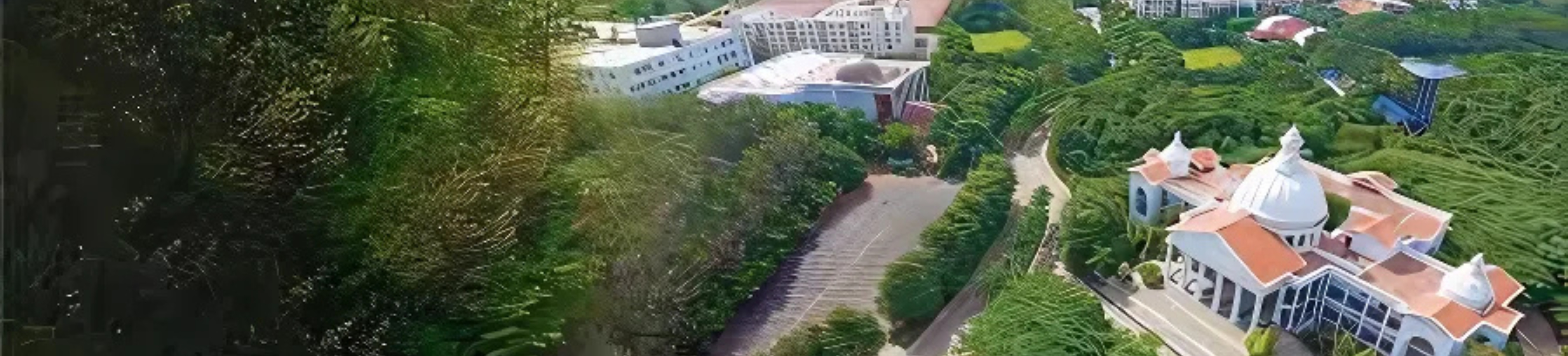 Alliance College of Engineering & Design banner