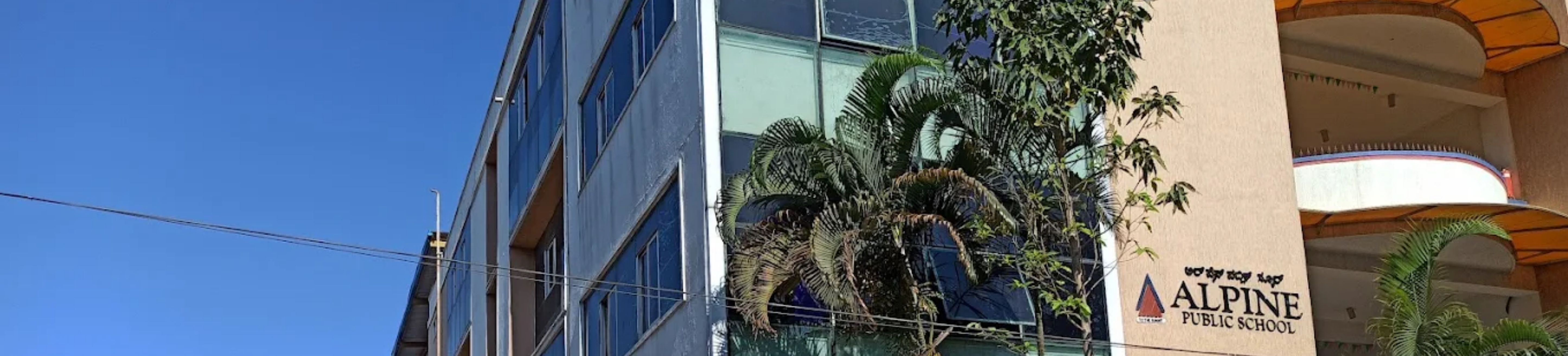 Alpine Public School banner