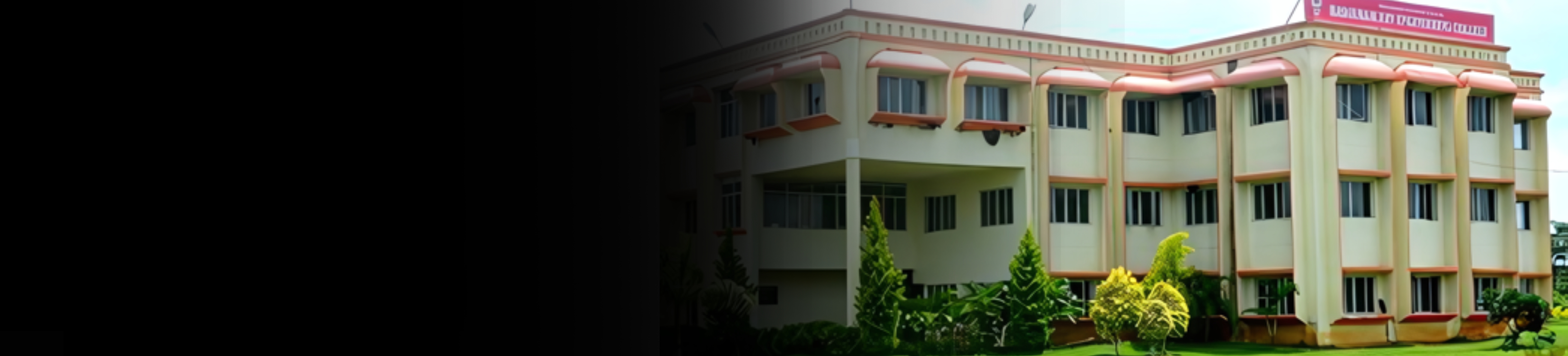 Basavakalyan Engineering College banner