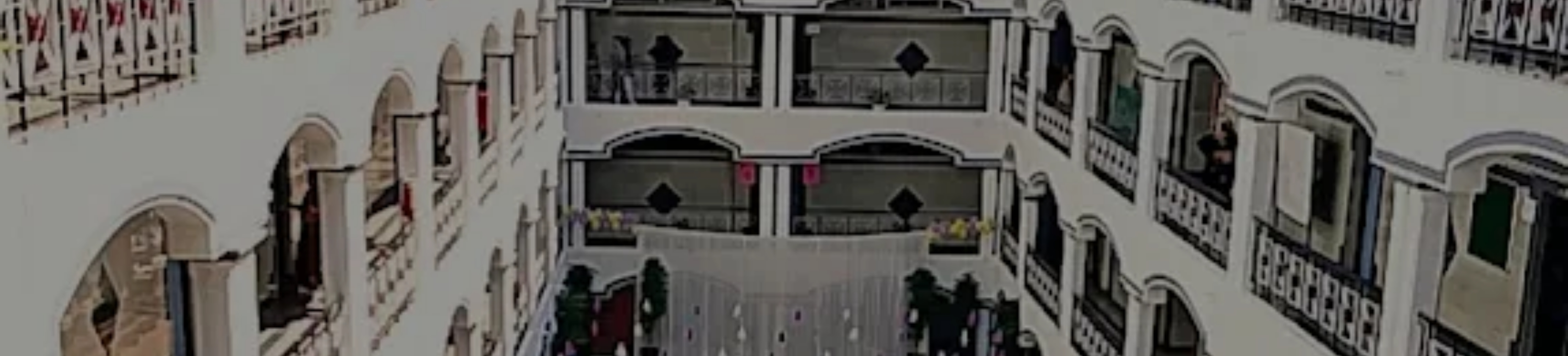 City PU College banner