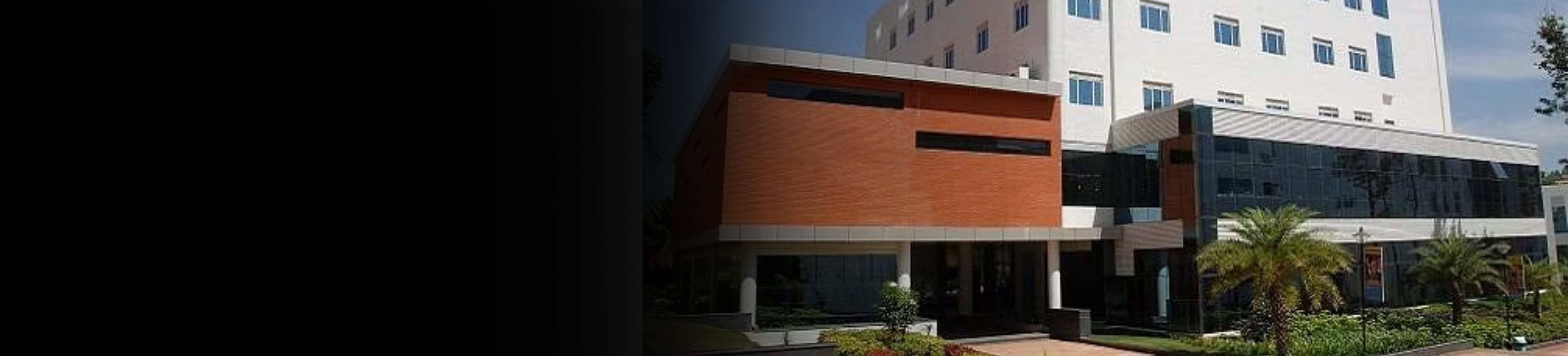 Dayananda Sagar School of Basic and Applied Sciences banner