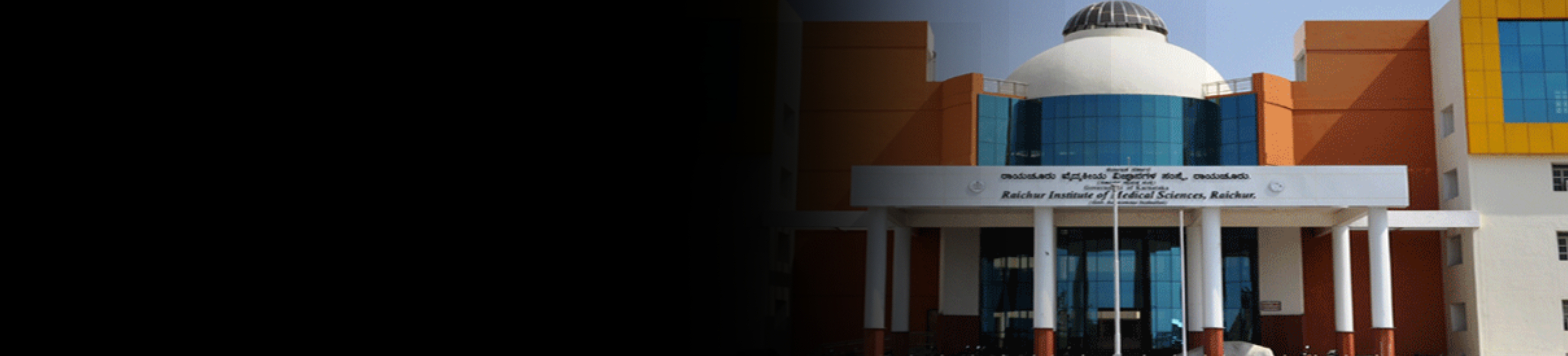 Raichur Institute of Medical Sciences RIMS banner