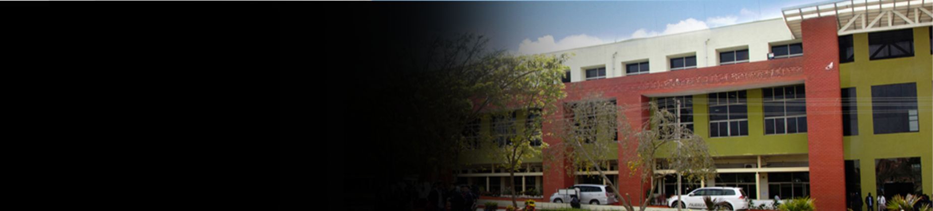 SEA College Of Management Studies banner