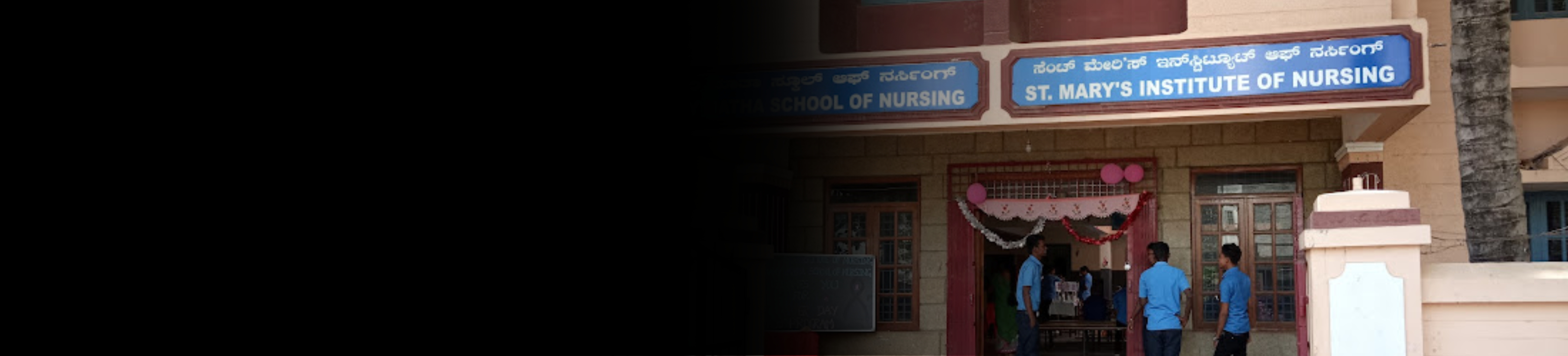 St Marys Institute of Nursing banner