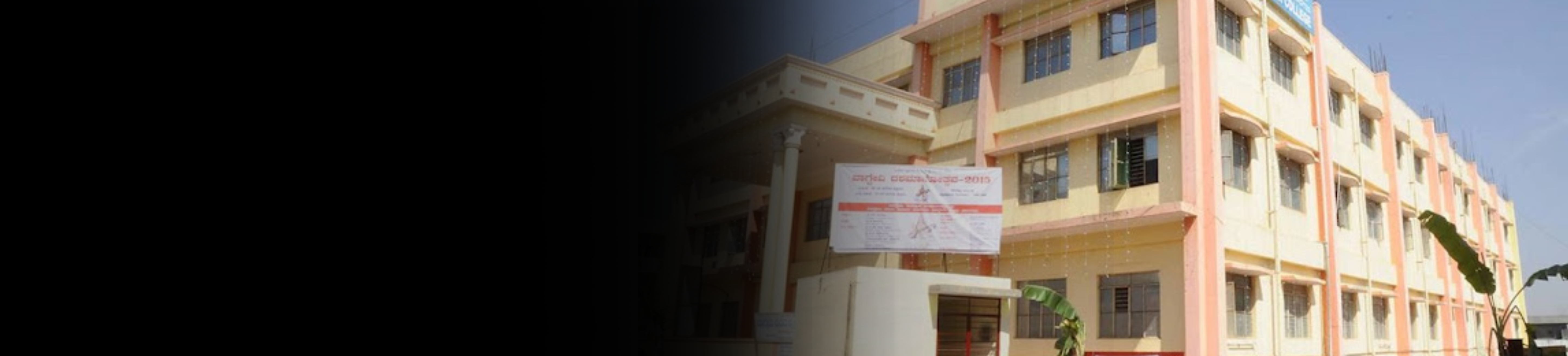 Vagdevi Nursing College banner