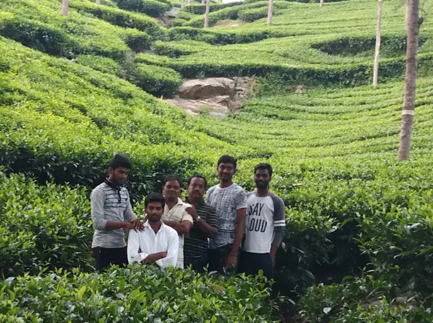 Dr. NTR College of Agricultural Engineering gallery image 5