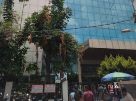 Jain PU College, Jayanagar gallery image 2