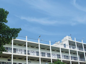 Sri Vani Vidya Kendra Degree College gallery image 2